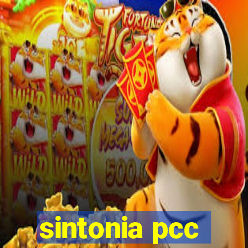 sintonia pcc
